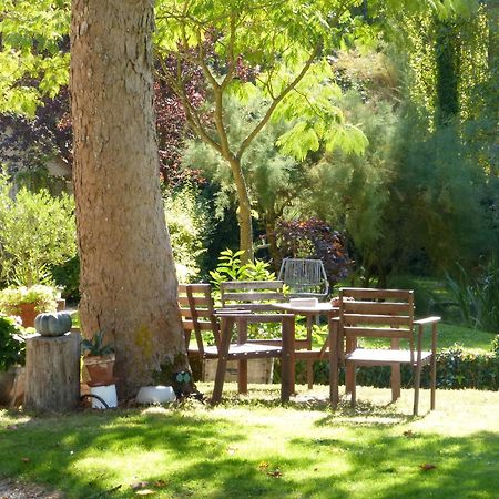 Domaine De Joreau Gennes-Val-de-Loire Luaran gambar