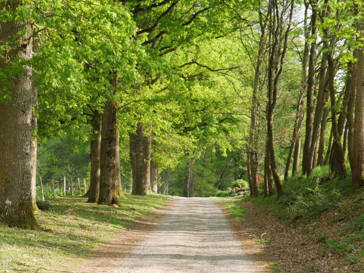 Domaine De Joreau Gennes-Val-de-Loire Luaran gambar