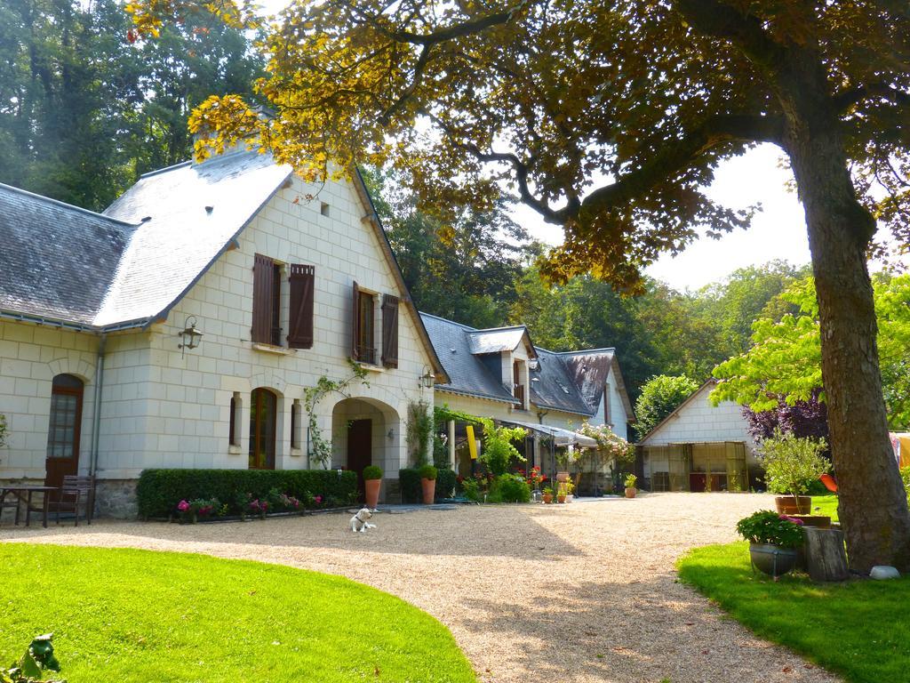 Domaine De Joreau Gennes-Val-de-Loire Luaran gambar