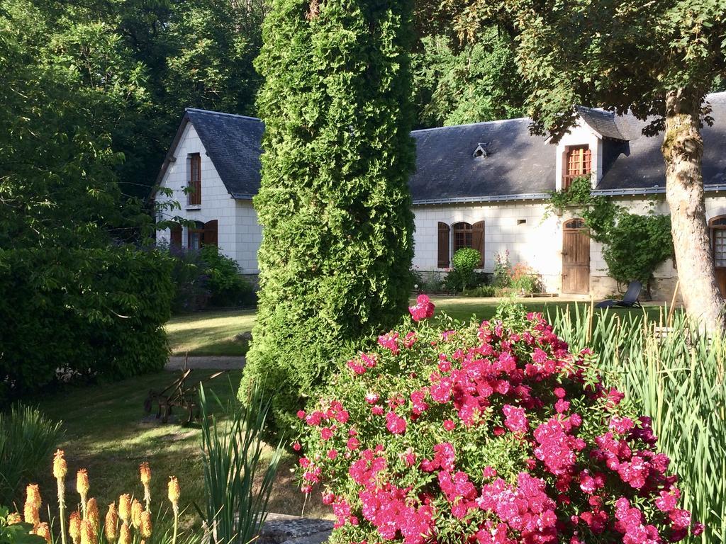 Domaine De Joreau Gennes-Val-de-Loire Luaran gambar