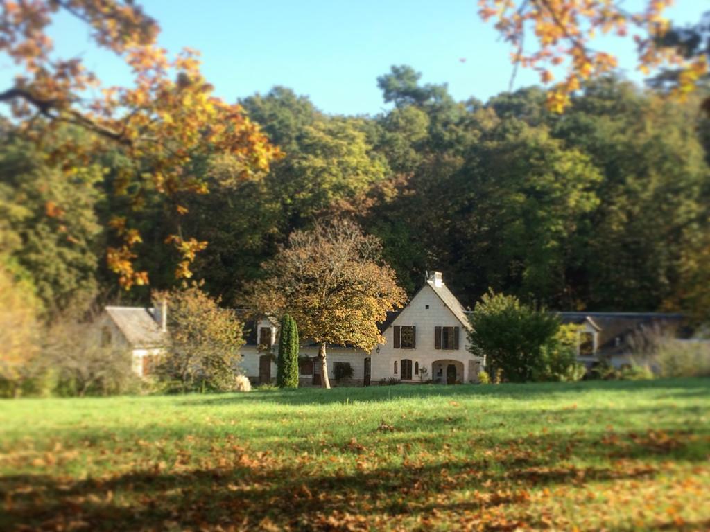 Domaine De Joreau Gennes-Val-de-Loire Luaran gambar