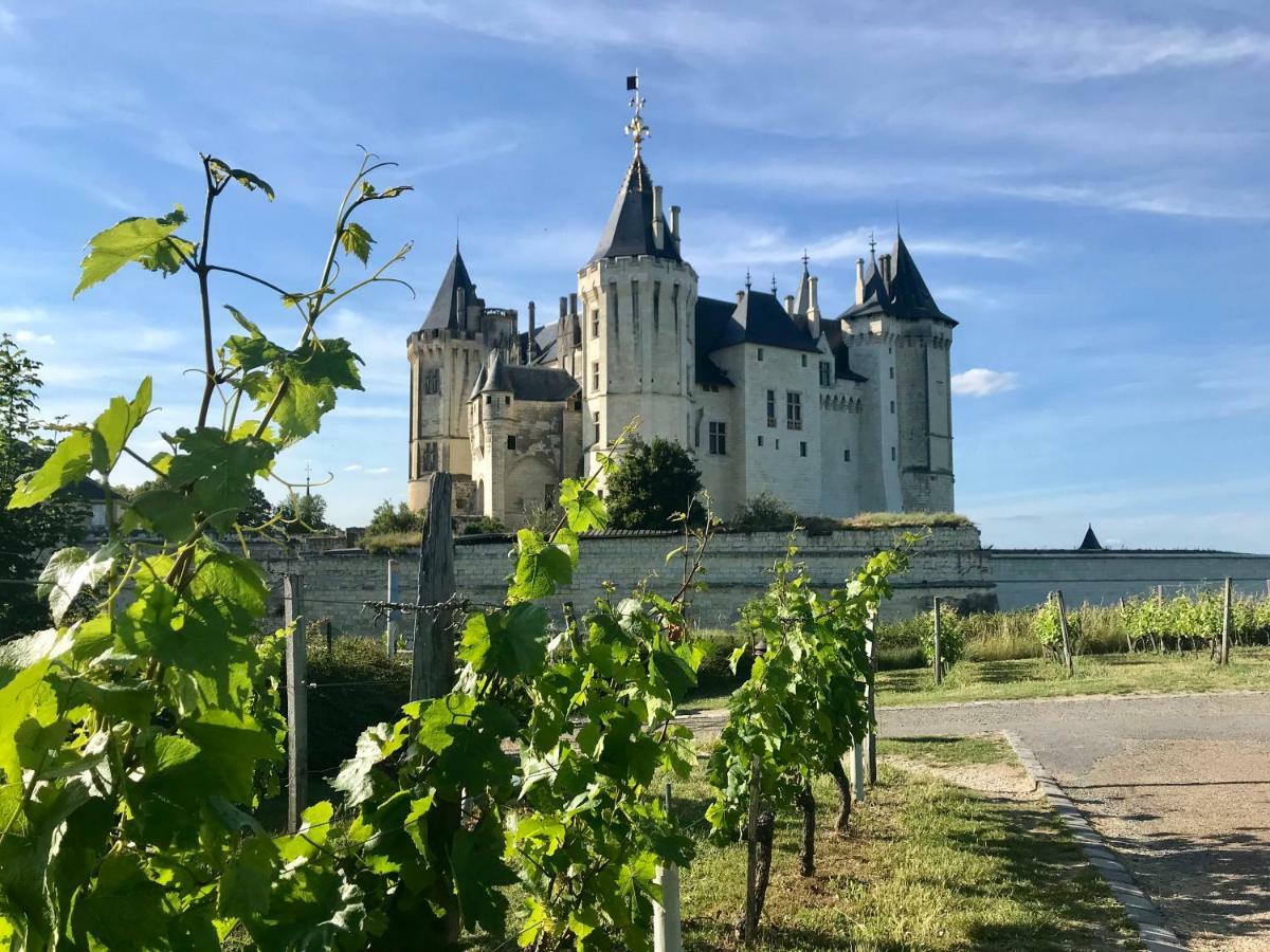 Domaine De Joreau Gennes-Val-de-Loire Luaran gambar
